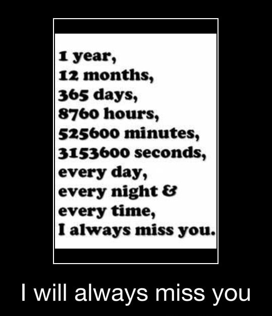 1 Year 12 Months 365 Days 8760 Hours Minutes Seconds Every Day Every Night 3 Every Time I Always Miss You I Will Always Miss You I Will Always Miss You