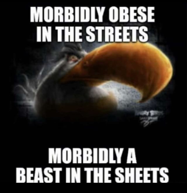 MORBIDLY OBESE IN THE STREETS MORBIDLY A BEAST IN THE SHEETS - IFunny