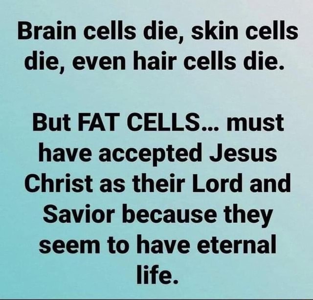 eternal-life-for-real-brain-cells-die-skin-cells-die-even-hair