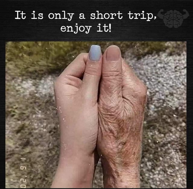 It is only a short trip, enjoy it! iFunny