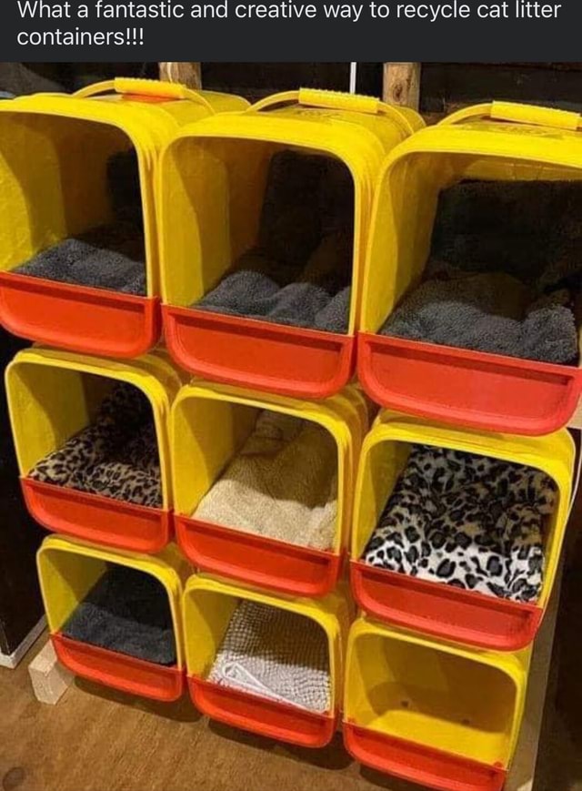 What a fantastic and creative way to recycle cat litter containers