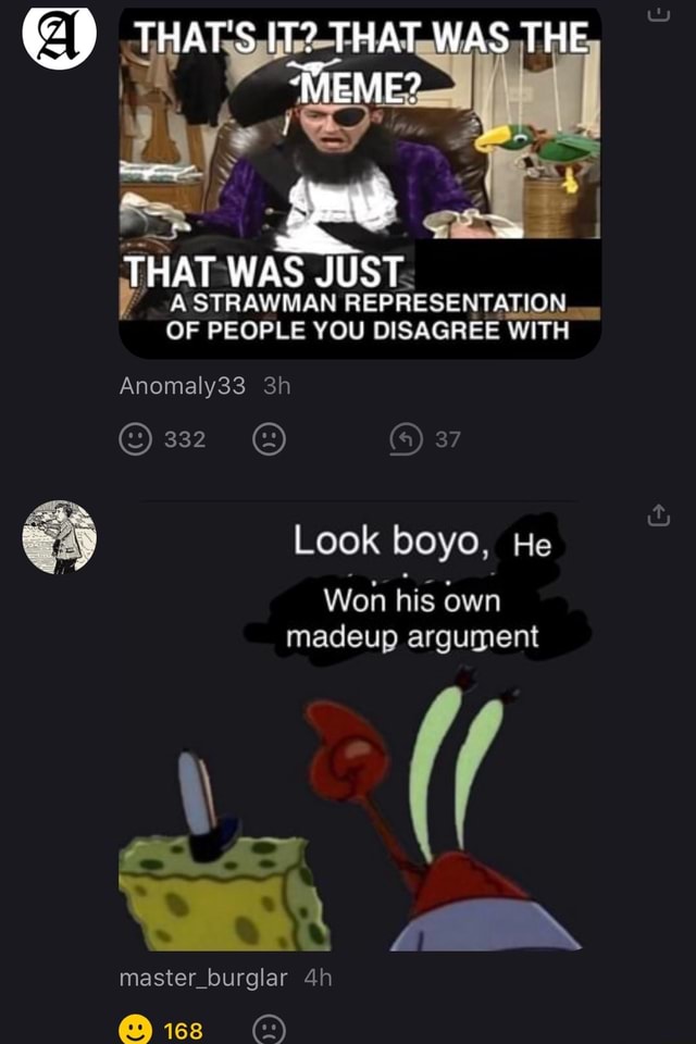 that-s-meme-was-the-meme-that-was-just-a-strawman-representation