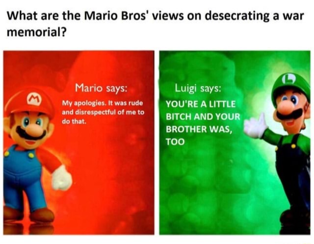 What are the Mario Bros' views on desecrating a war memorial? Mario ...