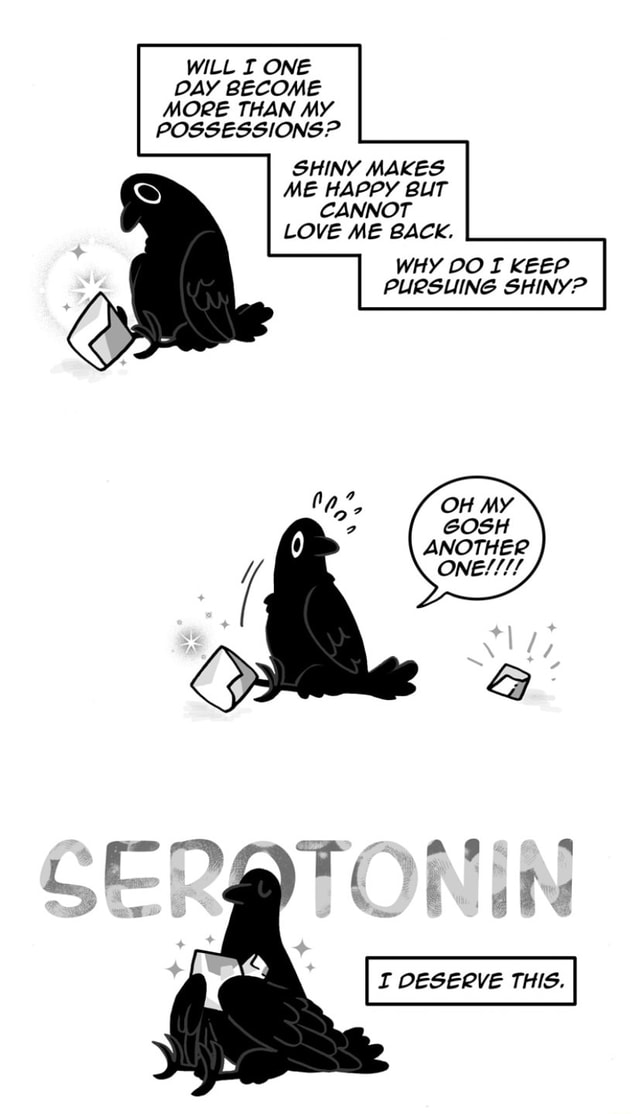 WILL I ONE DAY MOPE THAN MY. POSSESSIONS? SHINY MAKES ME HAPPY