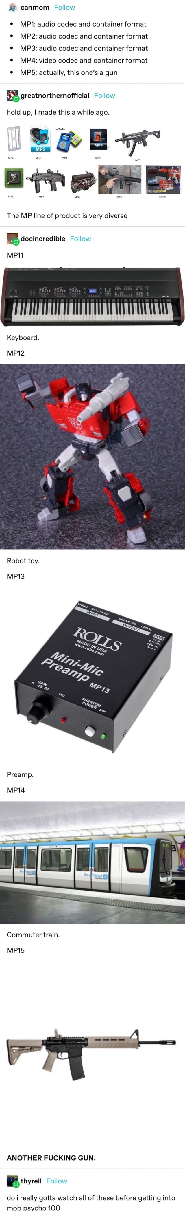 Canmom Follow MP* audio codec and container format audio codec and