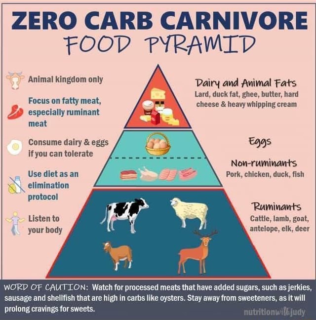 ZERO CARB CARNIVORE FOOD PYRAMID Animal kingdom only Dairy and Animal