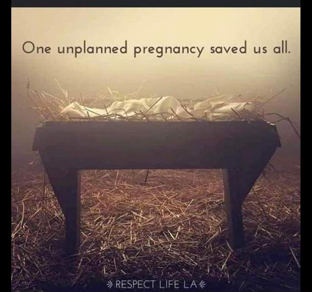 One unplanned pregnancy saved us all. RESPECT LIFE - iFunny