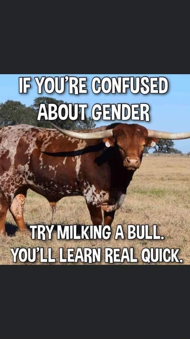 IF YOU'RE CONFUSED ABOUT GENDER TRY MILKING A BULL. YOU'LL LEARN REAL QUICK. iFunny Brazil
