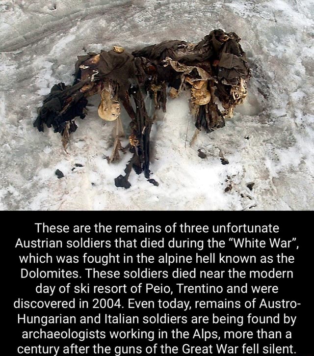 These are the remains of three unfortunate Austrian soldiers that died ...