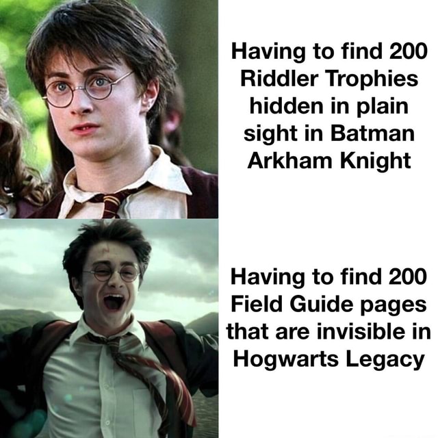 Wowza Riddler Meme Having to find 200 Riddler Trophies hidden in plain sight in Batman ...