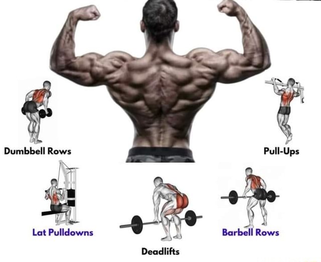 Dumbbell Rows Lat Pulldowns Barbell Rows Deadlifts iFunny