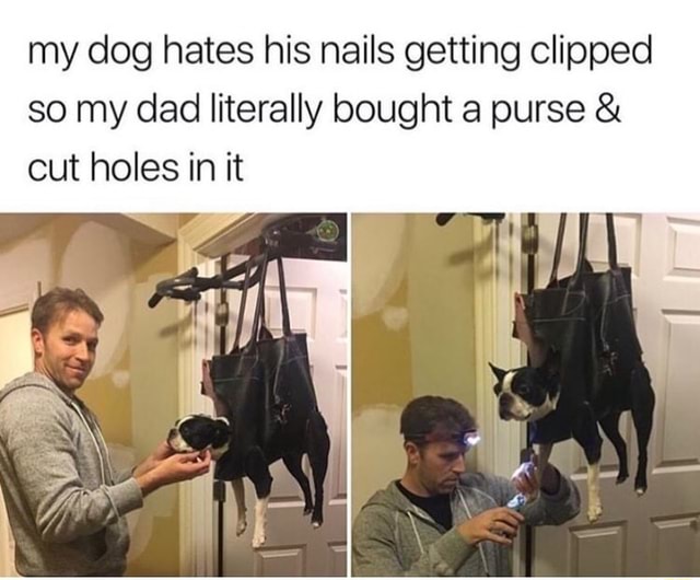 My dog hates his nails getting clipped so my dad literally bought a