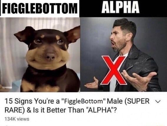 figglebottom-15-signs-you-re-figglebottom-male-super-rare-is-it