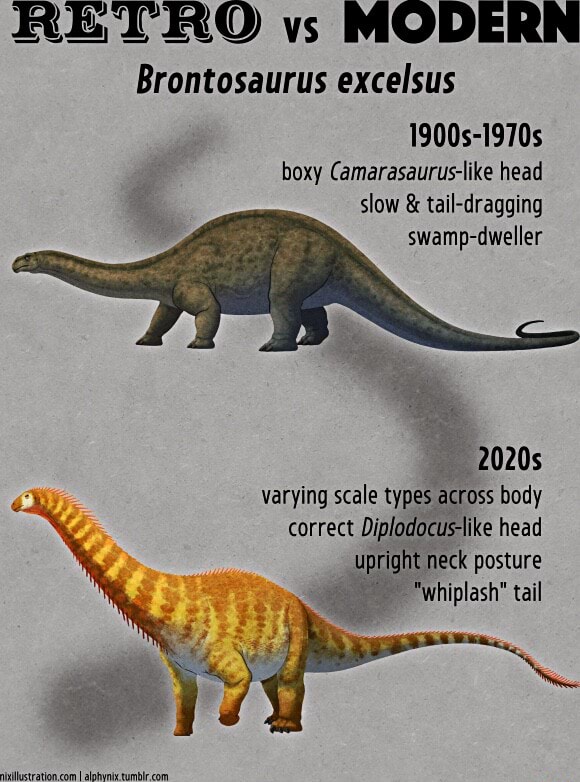 RETRO vs MODERN Brontosaurus excelsus 1900s-1970s boxy Camarasaurus ...