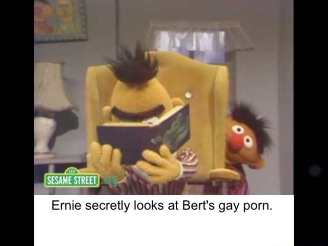 640px x 480px - Ernie secretly looks at Bert's gay porn. - iFunny :)