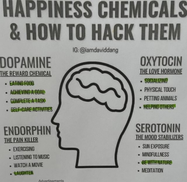HAPPINESS CHEMICALS & HOW TO HACK THEM IG: @iamdaviddang DOPAMINE ...