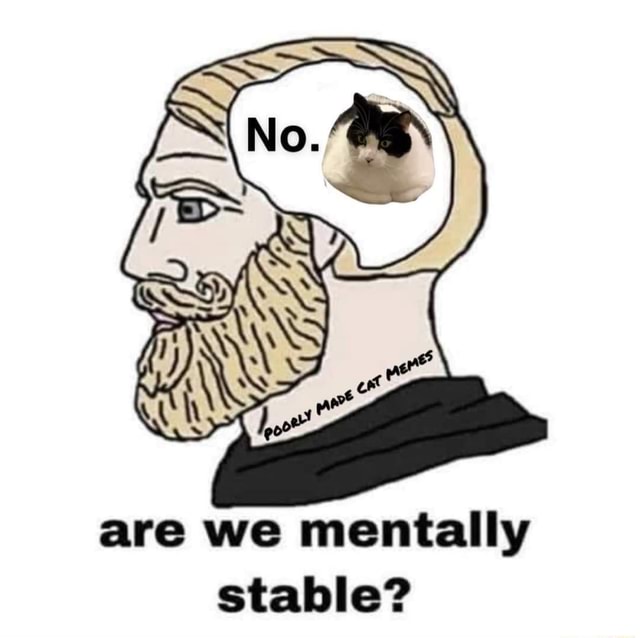 are-we-mentally-stable-ifunny