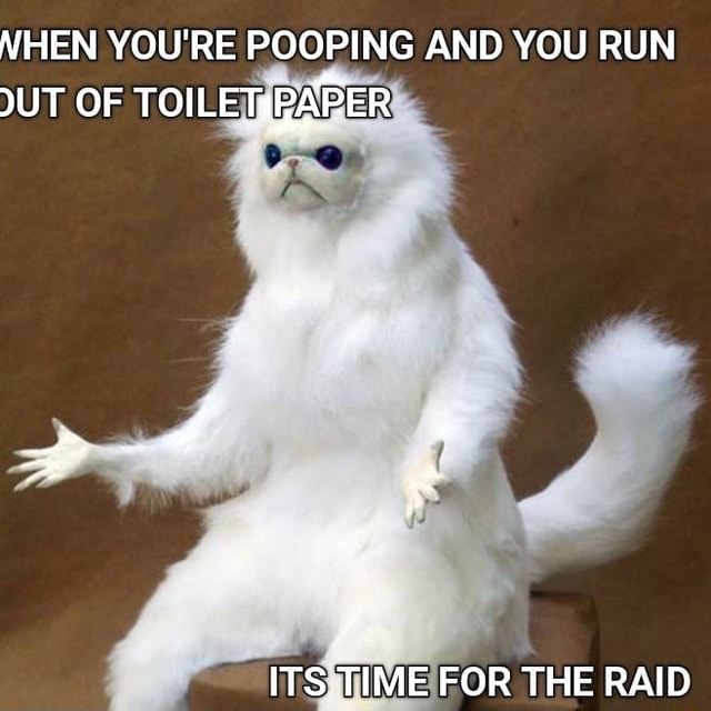 NHEN YOU'RE POOPING AND YOU RUN JUT OF TOILEMRARER iFunny
