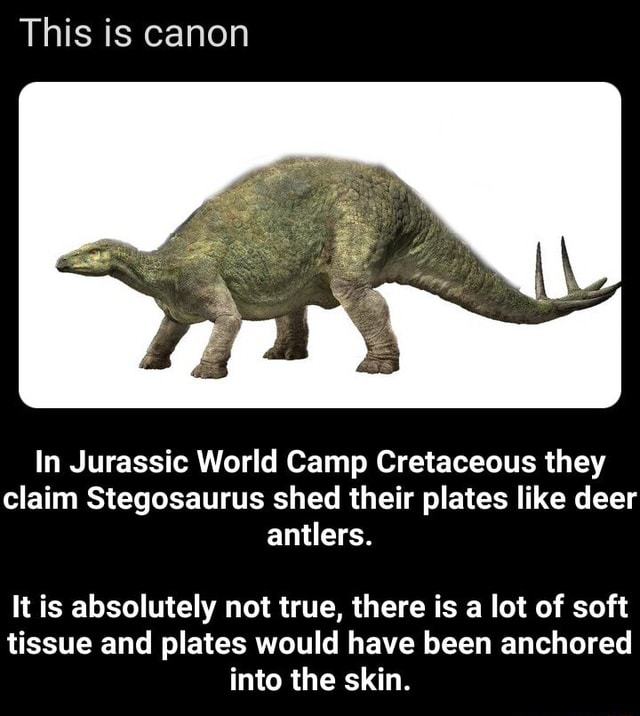 This is canon In Jurassic World Camp Cretaceous they claim Stegosaurus ...