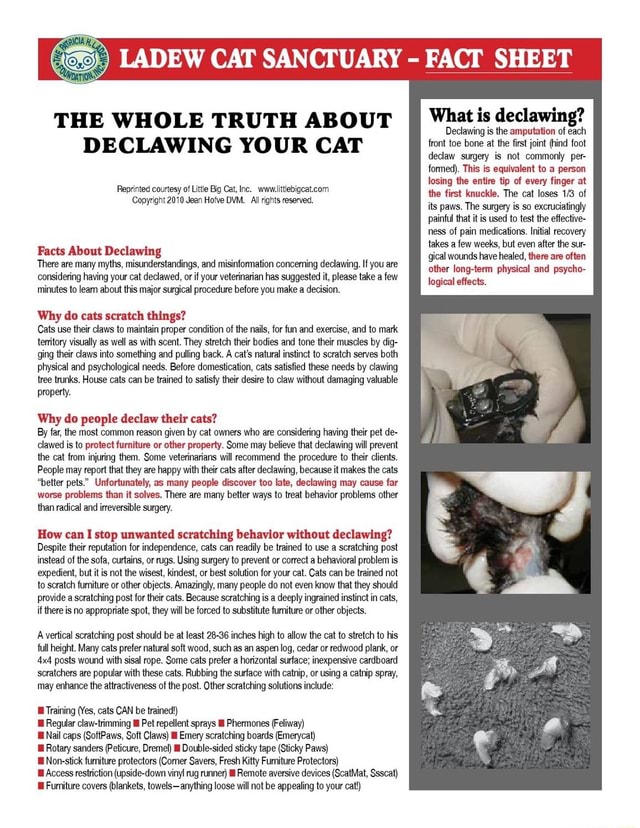 F).) LADEW CAT SANCTUARY FACT SHEET THE WHOLE TRUTH ABOUT DECLAWING