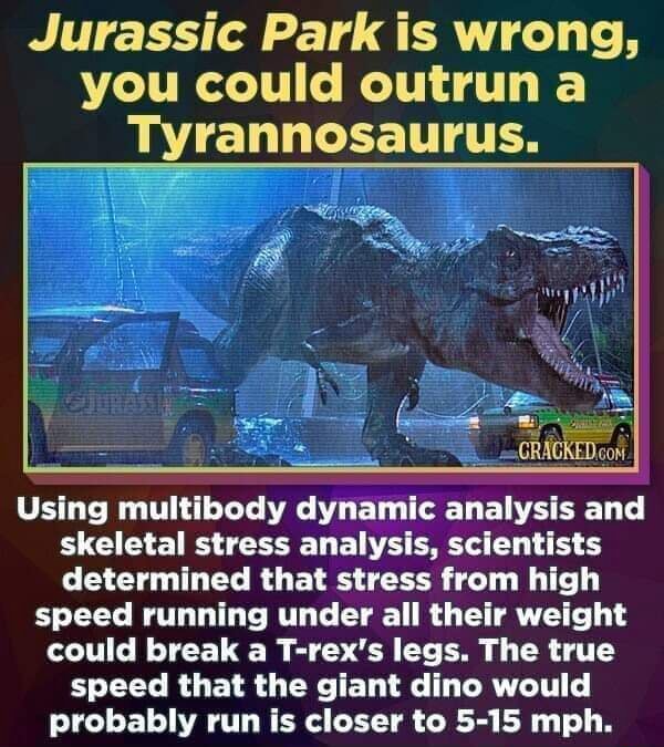 Dinosaur Memes from the late Cretaceous Period - Jurassic Park is wrong ...