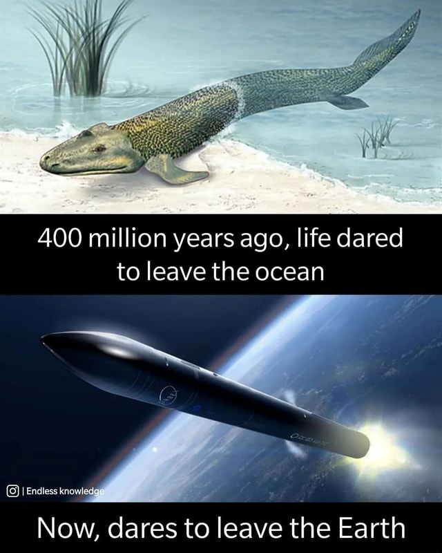 400-million-years-ago-life-dared-to-leave-the-ocean-i-endless