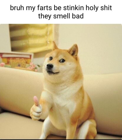 Bruh my farts be stinkin holy shit they smell bad - iFunny