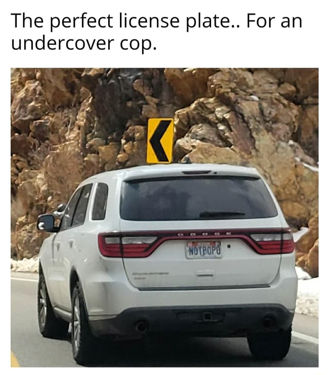 undercover police license plate