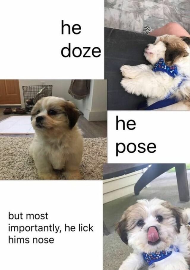 But most importantly, he lick hims - )