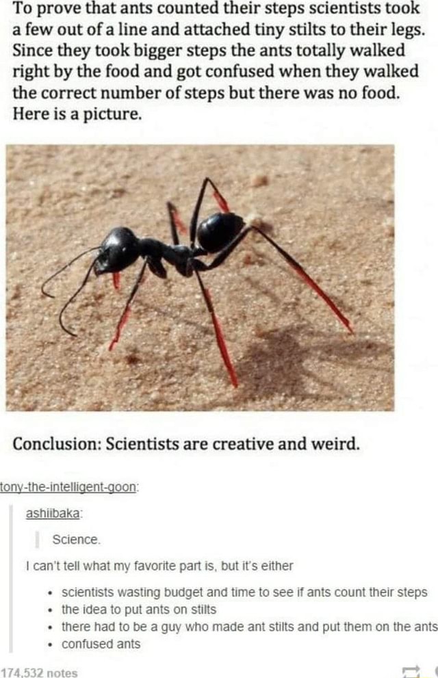 To prove that ants counted their steps scientists took a few out of a line and attached tiny