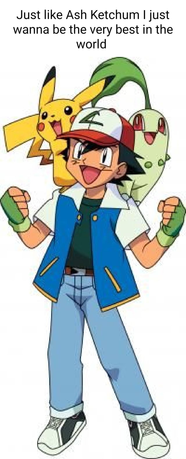 Just like Ash Ketchum I just wanna be the very best in the world - iFunny