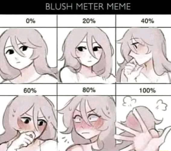 BLUSH METER MEME LAY. - iFunny