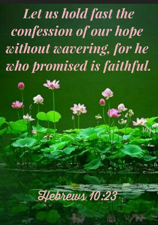 Let us hold fast the confession of our hope without wavering, for he ...