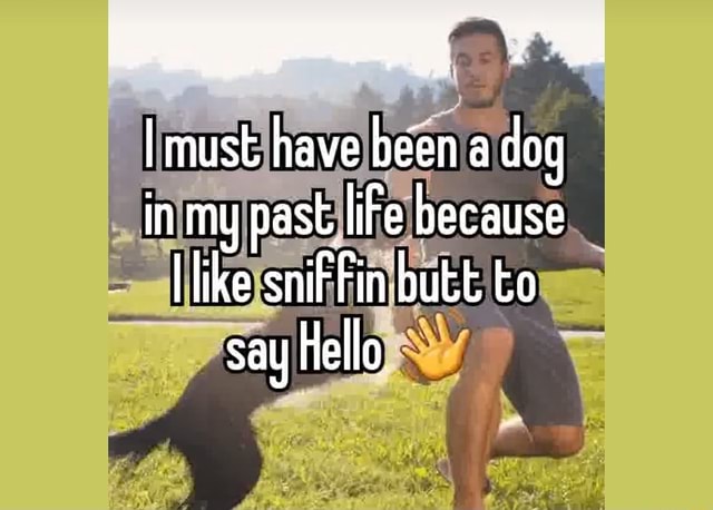 I must have been a dog in my past liFe because like snifFin butt to say  hello. - )