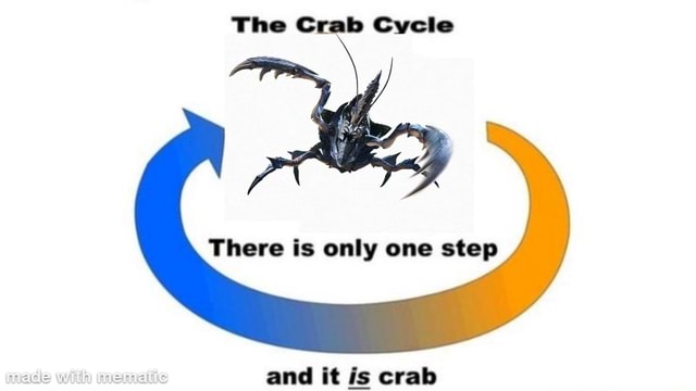 The Crab Cycle There is only one step mace wiln inenuaiiic and it is ...