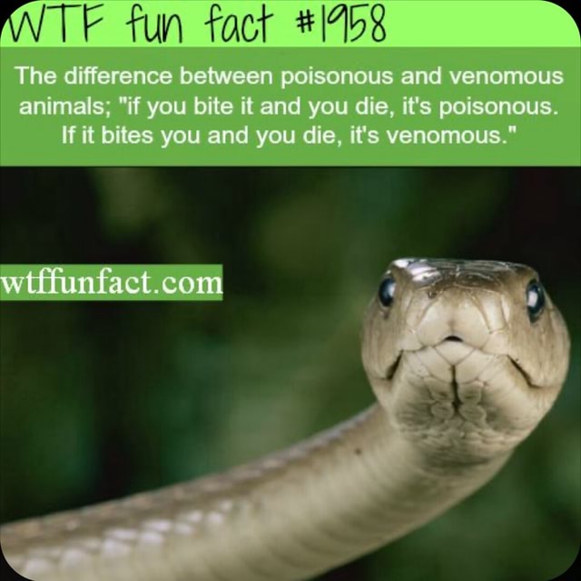 Tun _fact The Difference Between Poisonous And Venomous Animals; "if ...