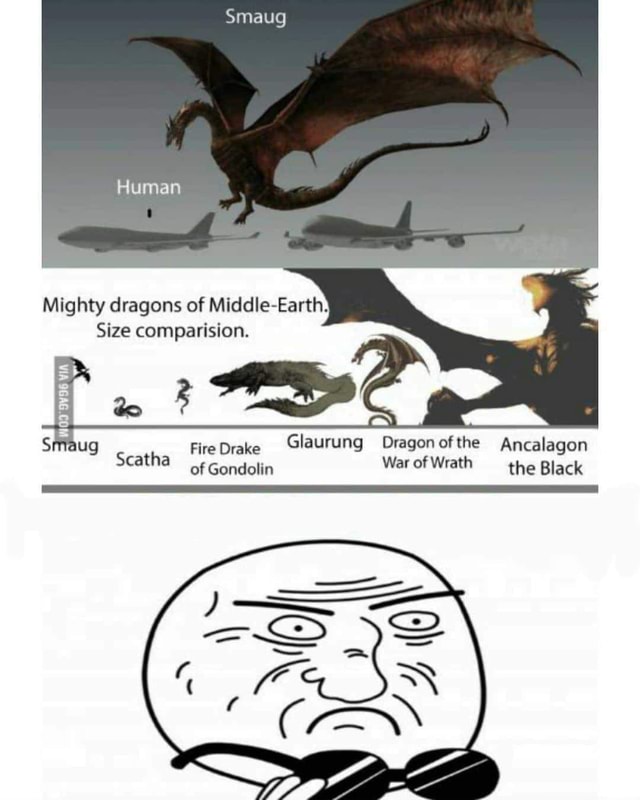 Smaug Mighty dragons of Middle-Earth! Size comparision. Glaurung Dragon of  the Ancalagon War of Wrath the Black Srfaug Fire Drake Scatha of Gondolin -  America's best pics and videos