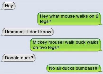 Hey What Mouse Walks On 2 Legs Pra Mickey Mouse Walk Duck Walks Two Legs Donald Duck No All Ducks Dumbass Ifunny