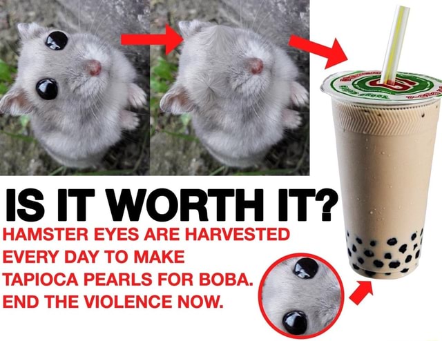 IS IT WORTH IT HAMSTER EYES ARE HARVESTED EVERY DAY TO MAKE TAPIOCA 