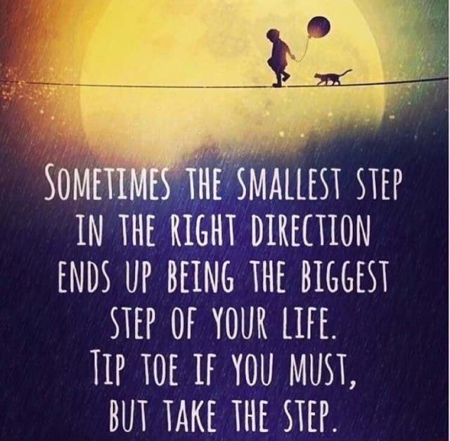 SOMETIMES THE SMALLEST STEP IN THE RIGHT DIRECTION ENDS UP BEING THE ...