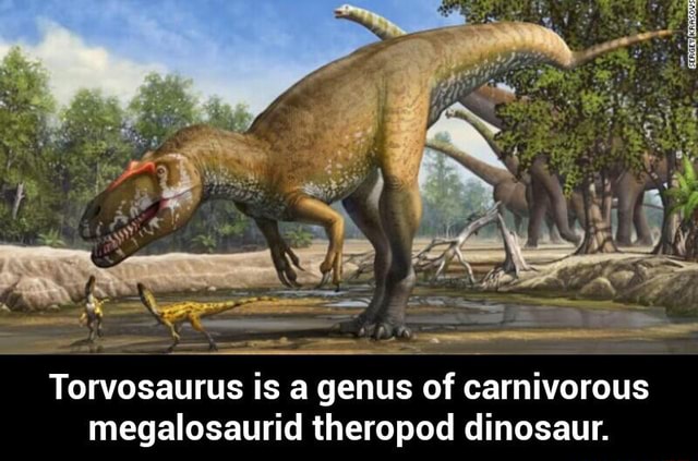 Torvosaurus is a genus of carnivorous megalosaurid theropod dinosaur ...