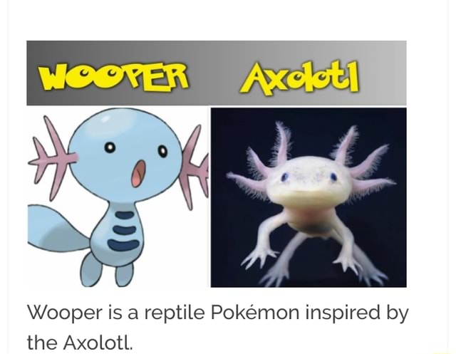 X Ooper Is A Reptile Pokemon Inspired By The Axolotl Ifunny