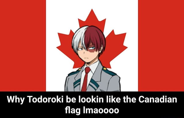 Din Why Todoroki Be Lookin Like The Canadian ﬂag Lmaoooo Why Todoroki Be Lookin Like The Canadian Flag Lmaoooo