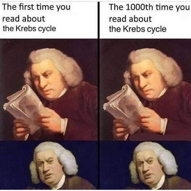 Read about read about the Krebs cycle the Krebs cycle - iFunny