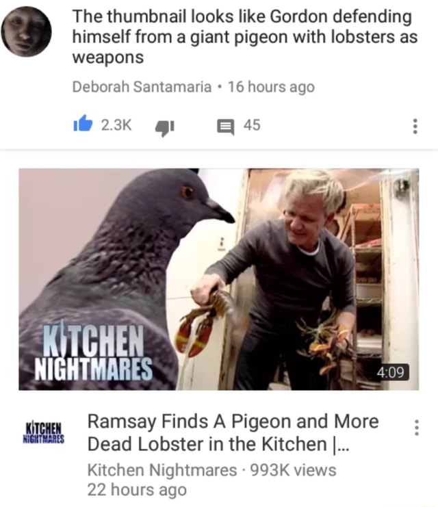 Featured image of post Kitchen Nightmares Dead Lobster Episode