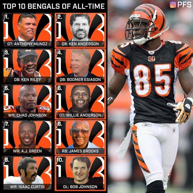 bob johnson bengals