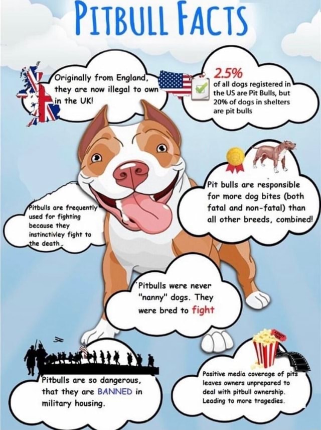 PITBULL FACTS 2.5% of all dogs registered in the US are Pit Bulls, but ...
