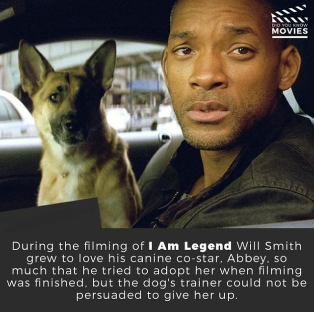 Will Smith and Abbey on set