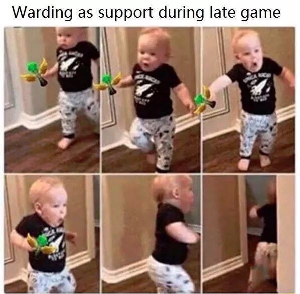 Warding As Support During Late Game Ifunny 