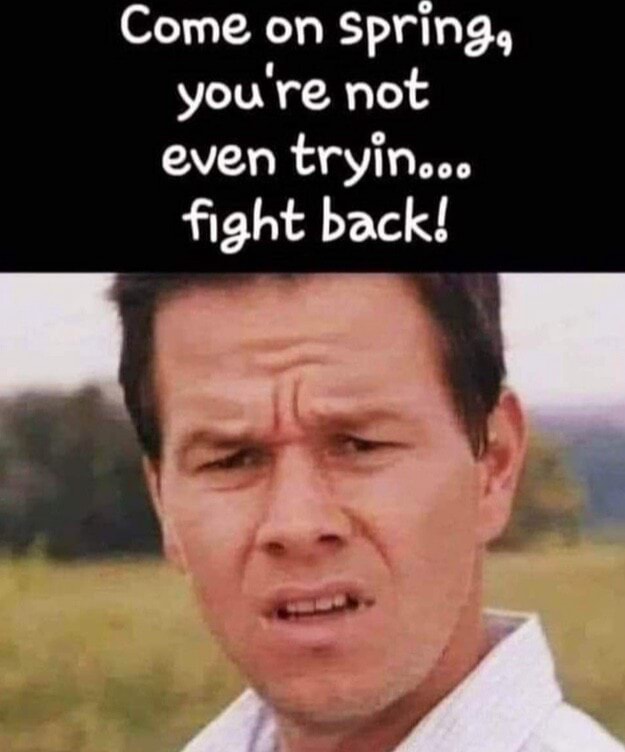 Come on Spring, you're not even tryinoce fight back! - iFunny